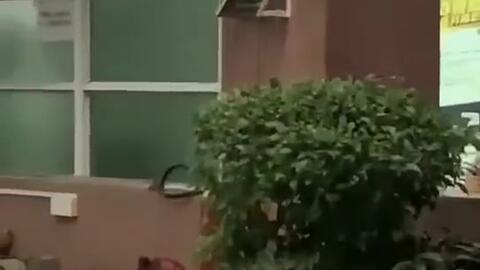 广东最近吃瓜新闻,广东最新“吃瓜”新闻大盘点